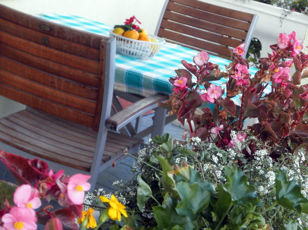 Apartmani Delfin Гребастика Экстерьер фото